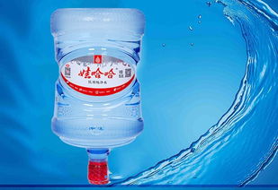 東西湖鑫城宜居桶裝水專業(yè)配送服務(wù)